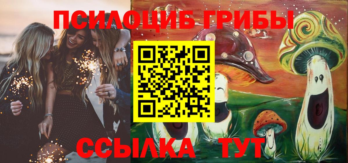 Дзержинский  Галлюциногенные грибы ЛСД  Вход с VPN 